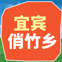 宜宾俏竹乡供应链管理有限公司