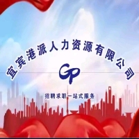 宜宾港派人力资源有限公司
