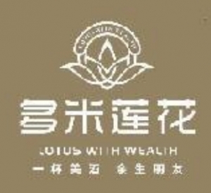 宜宾多米原创科技有限公司